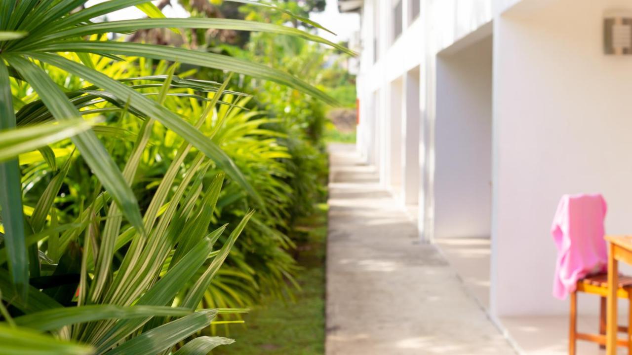 Island Accommodation 68 Extension Street Сува Екстер'єр фото